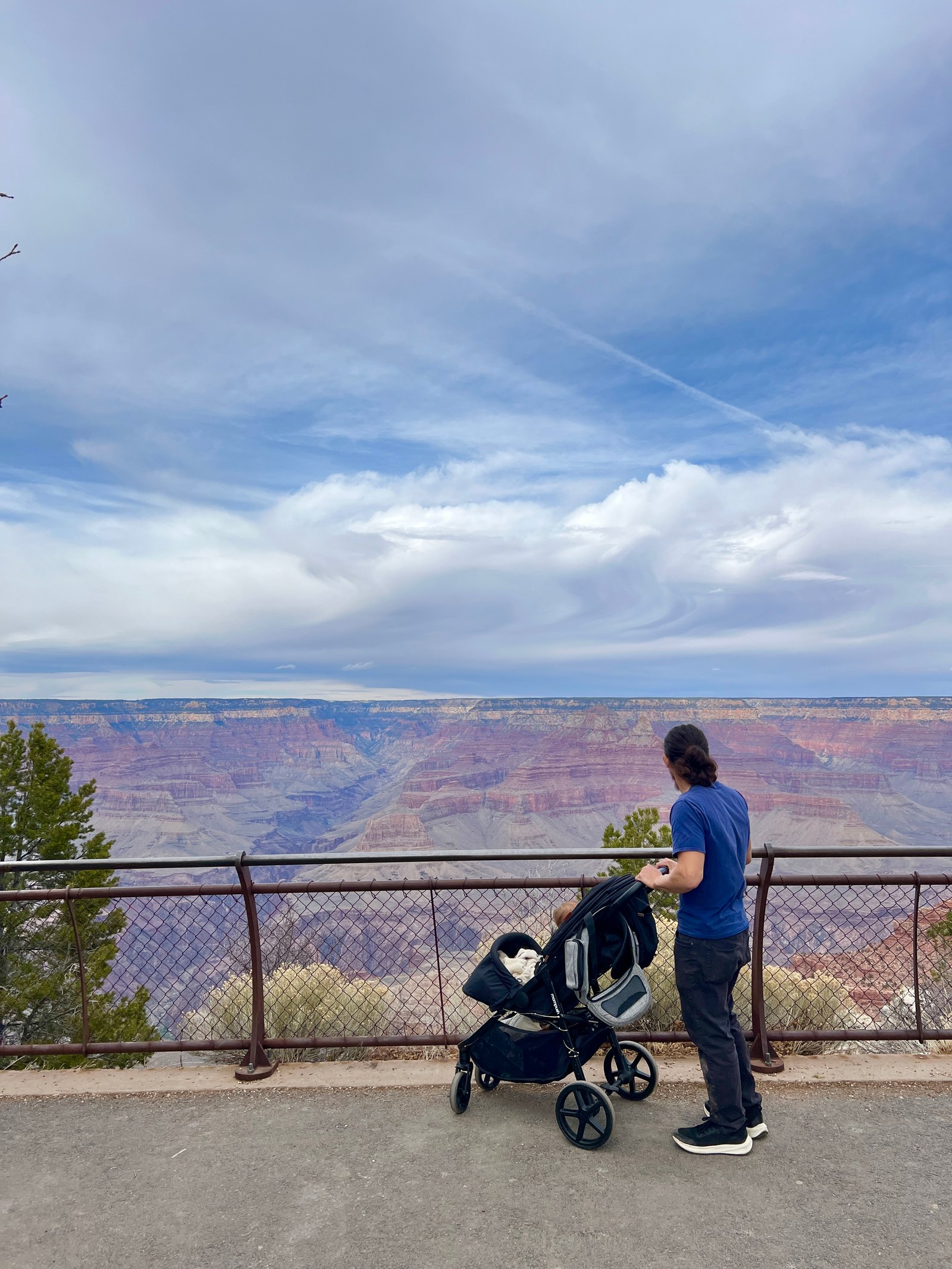 man next to stroller at overlook of Grand Canyon