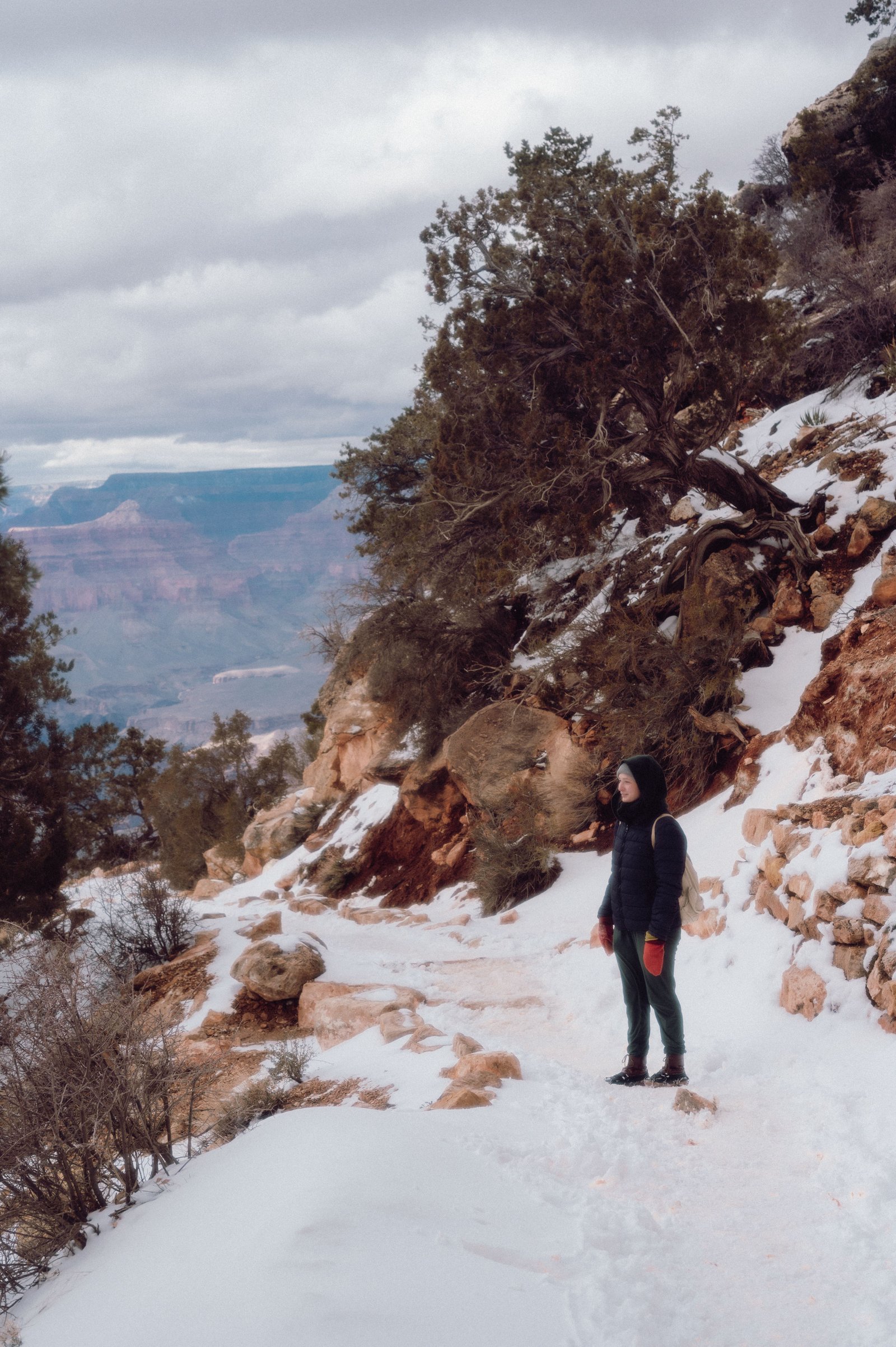 person standing in winter gear on snow covered trail