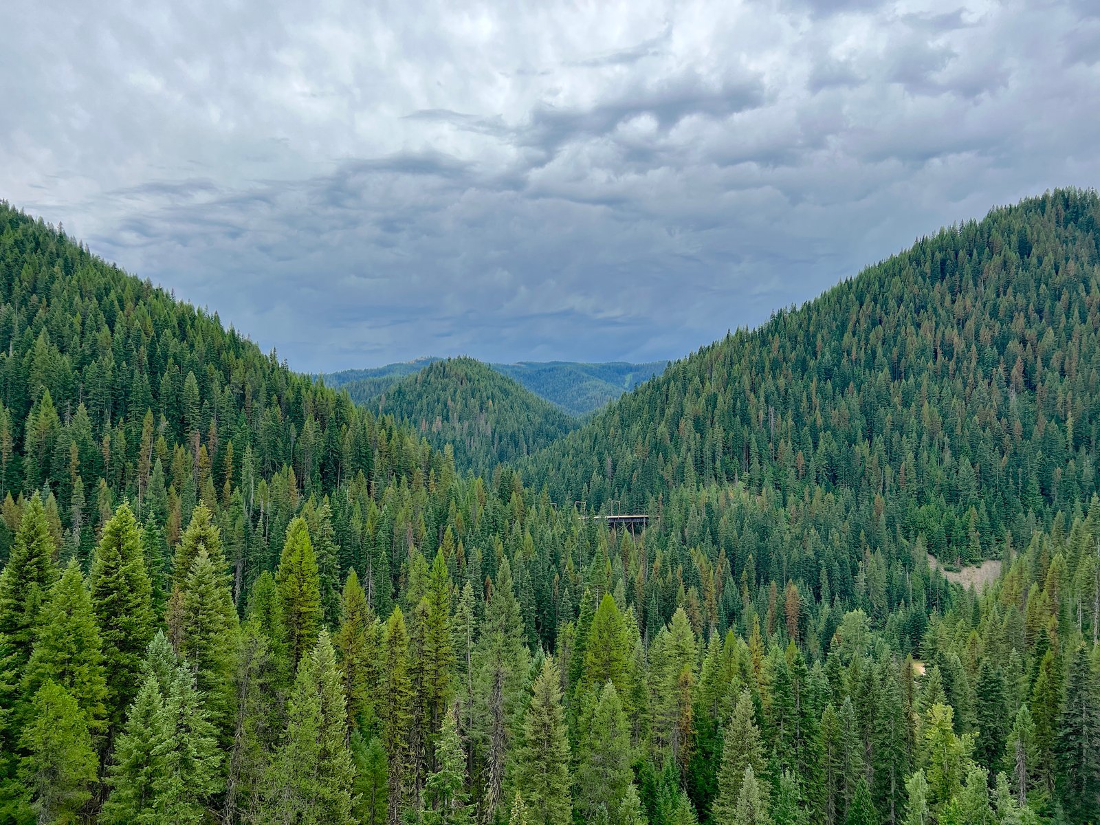 A long wooden railroad trestle bridge visible in the distance tucked among thick evergreen trees across a forested mountain valley on the Route of the Hiawatha.