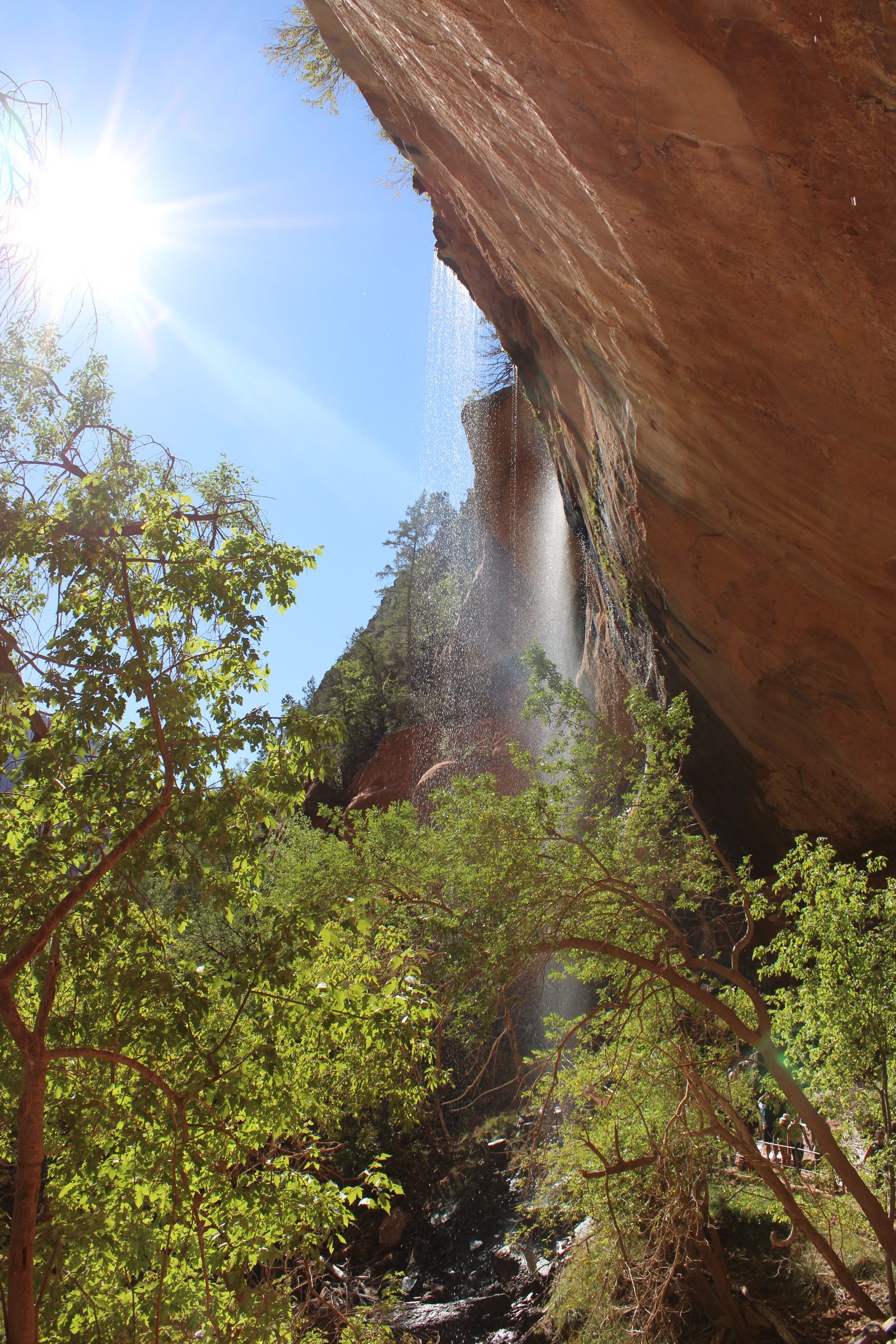 A waterfall cascading down tall, weathered red rock canyon walls surrounded by lush green trees and vegetation