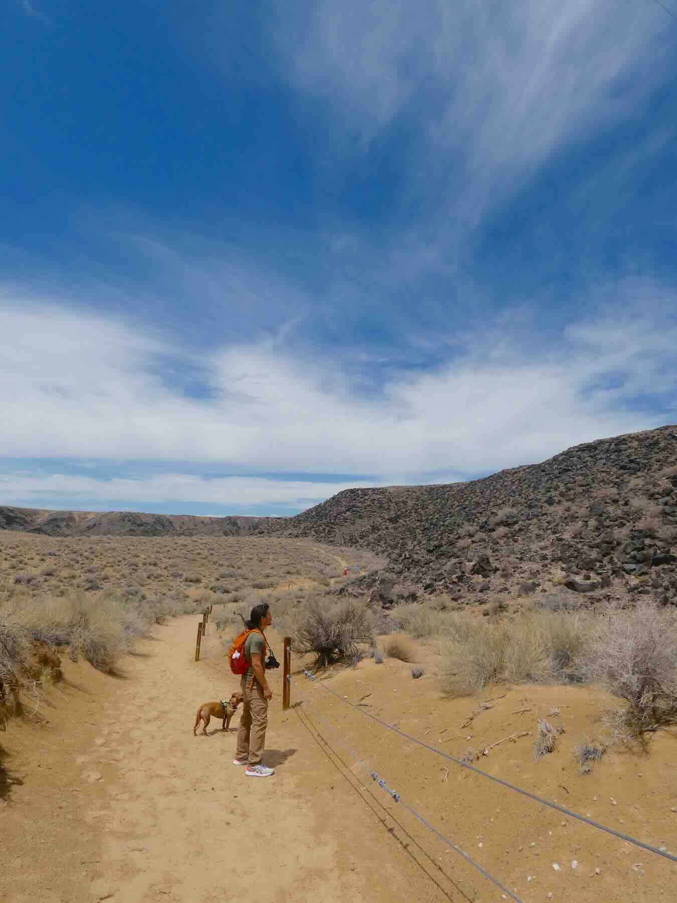 A hiker and dog looking up at the dark volcanic basalt rock walls along a trail at Petroglyph National Monument.