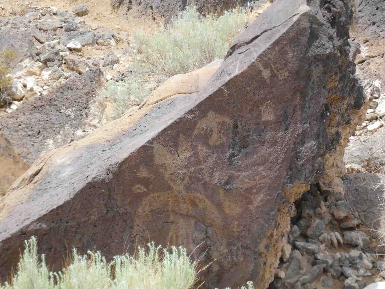 Multiple ancient petroglyph carvings of symbols and figures on a single volcanic basalt rock.