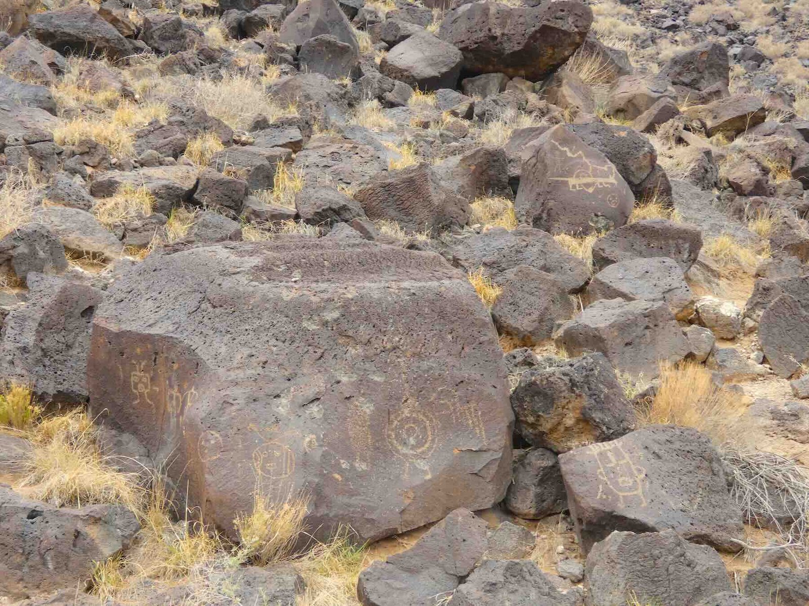 Ancient petroglyphs carved onto dark volcanic basalt boulders along a desert trail at Petroglyph National Monument.