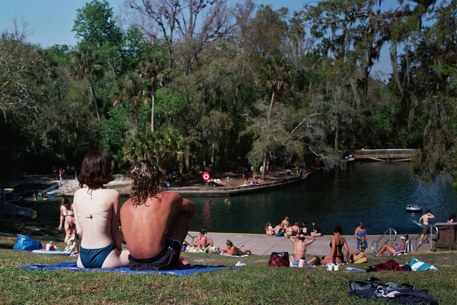 People relaxing on the grassy bank overlooking the clear blue swimming basin and surrounding trees at Wekiwa Springs State Park.